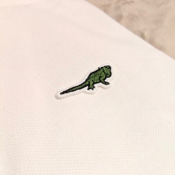 Rare lacoste Iguana save our species - Picture 6 of 10